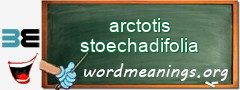 WordMeaning blackboard for arctotis stoechadifolia